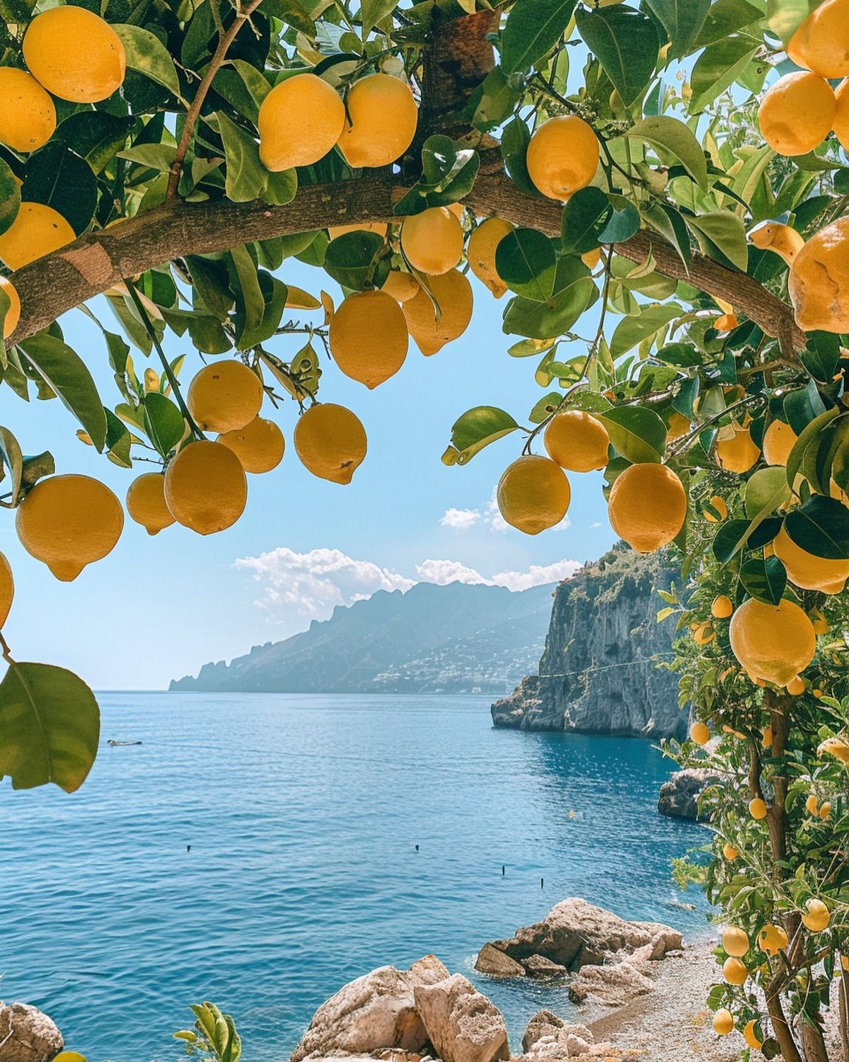 Discovering 8K with Samsung QLED